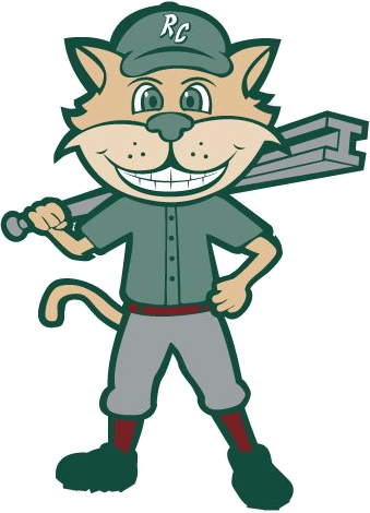 Gary SouthShore RailCats 2011-Pres Mascot Logo iron on heat transfer
